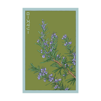 Rosemary Herb seed packet - Shido Seeds non-GMO vacuum-sealed woodblock design