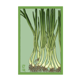 Scallions seed packet - Shido Seeds non-GMO vacuum-sealed woodblock design