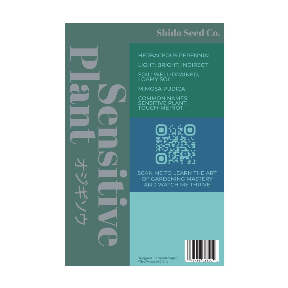 Sensitive Plant Flower Seeds Packet - Chive Ceramics Studio - Seeds - Chive Ceramics Studio