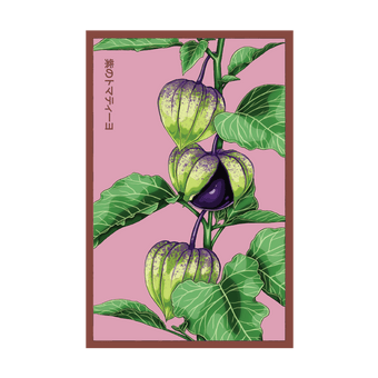 Sweet Purple Tomatillo seed packet - Shido Seeds heirloom non-GMO woodblock design