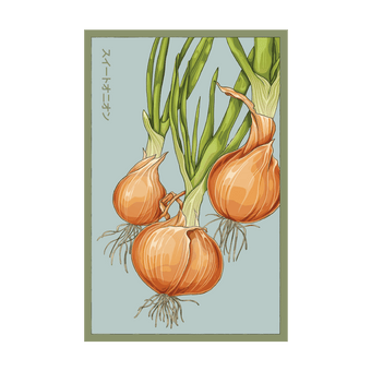 Texas Super Sweet Onion seed packet - Shido Seeds non-GMO woodblock design