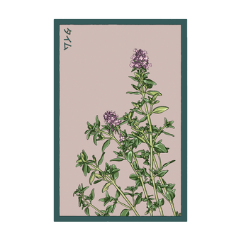 Thyme Herb seed packet - Shido Seeds non-GMO vacuum-sealed woodblock design