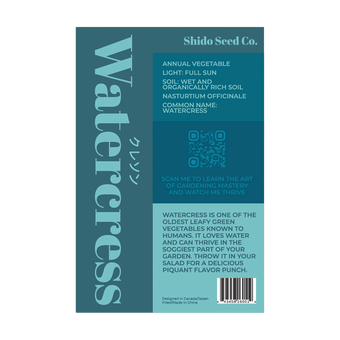Watercress peppery green growing in shallow water or moist soil