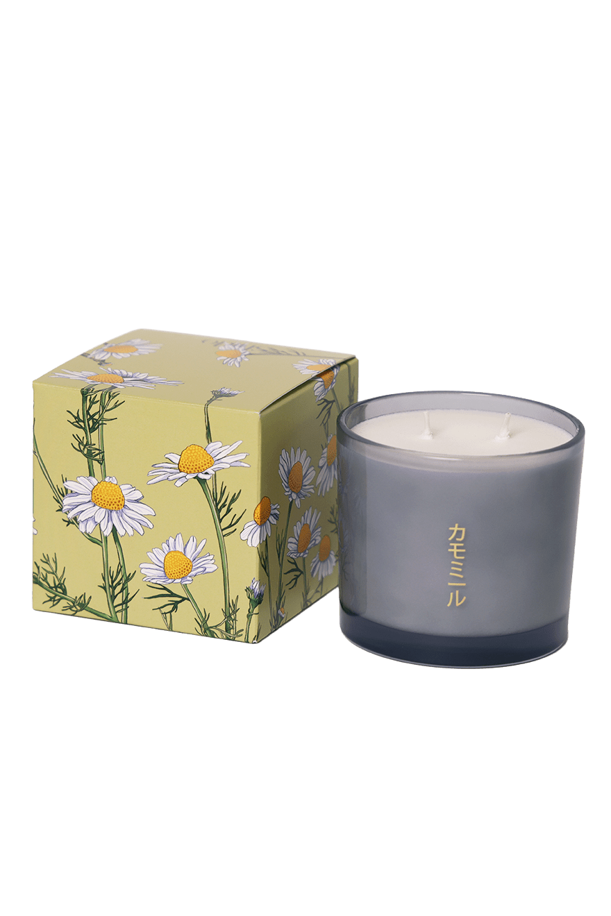 Shido Coconut Soy Blend Candle - Chive Ceramics Studio - Candles - Chive Ceramics Studio
