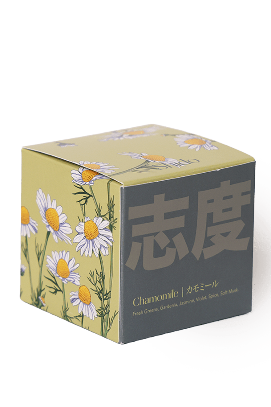 Shido Coconut Soy Blend Candle - Chive Ceramics Studio - Candles - Chive Ceramics Studio