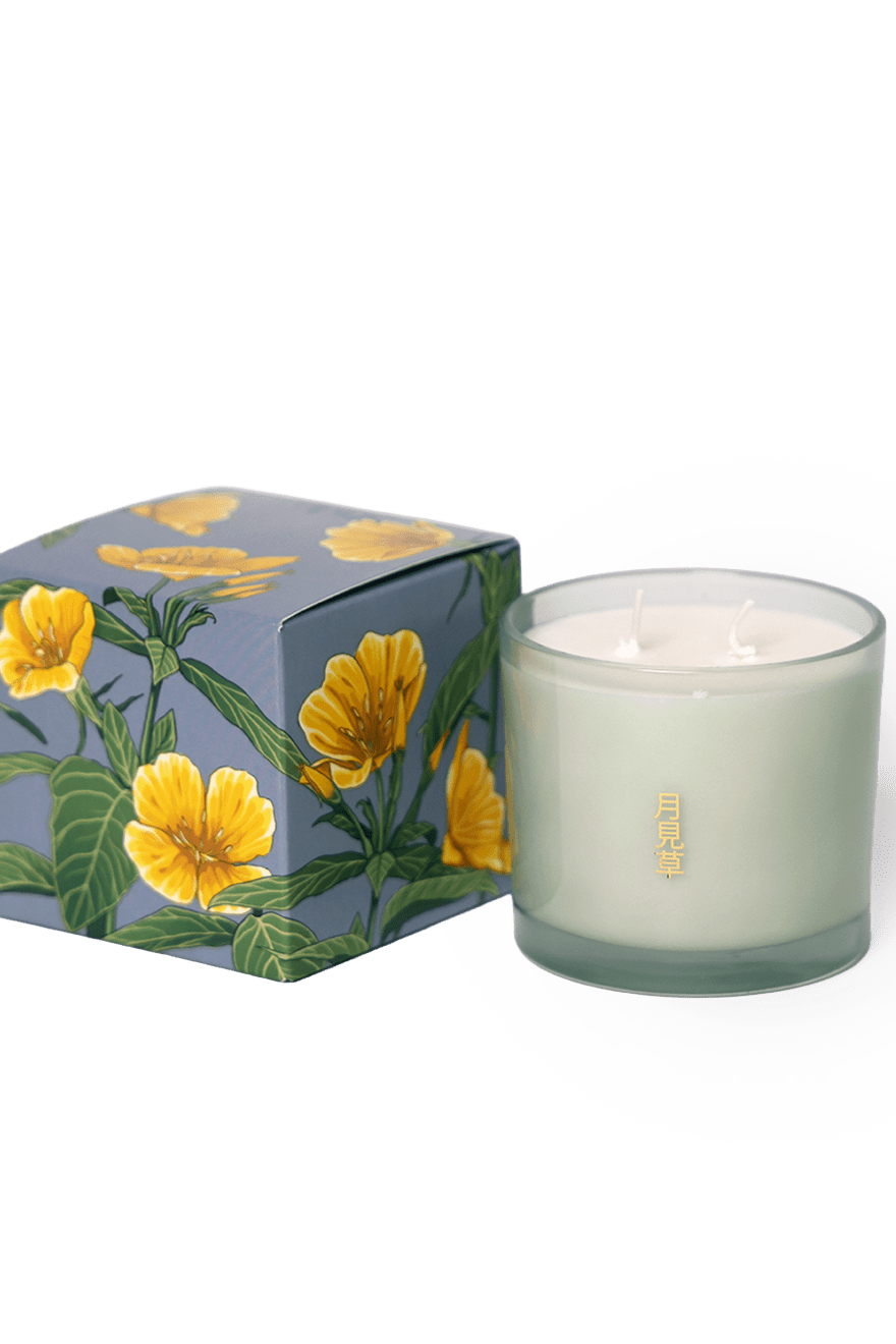 Shido Coconut Soy Blend Candle - Chive Ceramics Studio - Candles - Chive Ceramics Studio