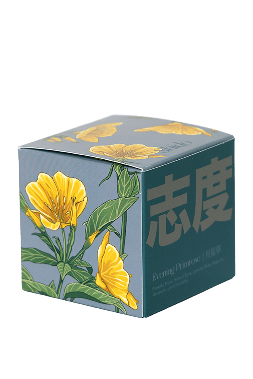 Shido Coconut Soy Blend Candle - Chive Ceramics Studio - Candles - Chive Ceramics Studio