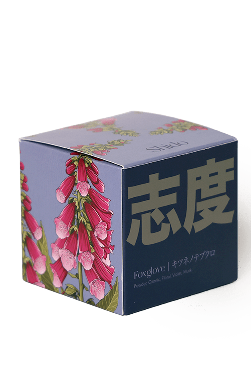 Shido Coconut Soy Blend Candle - Chive Ceramics Studio - Candles - Chive Ceramics Studio