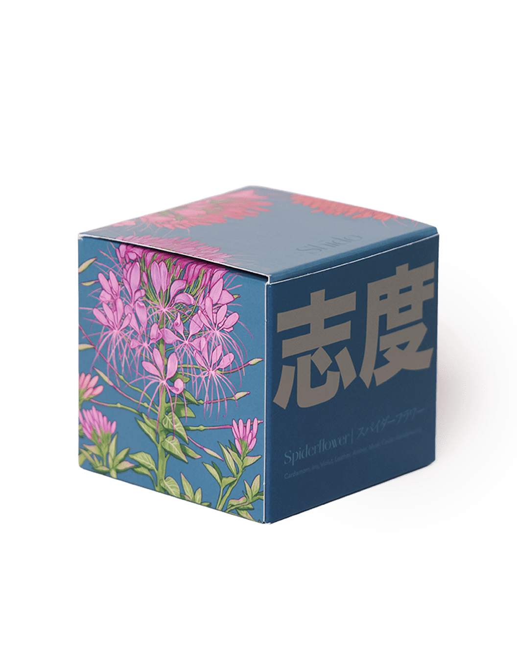 Shido Coconut Soy Blend Candle - Chive Ceramics Studio - Candles - Chive Ceramics Studio