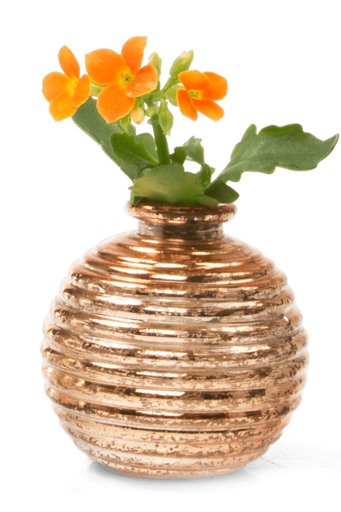 Smasak Glass Bud Vase - Chive Ceramics Studio - Vases - Chive US