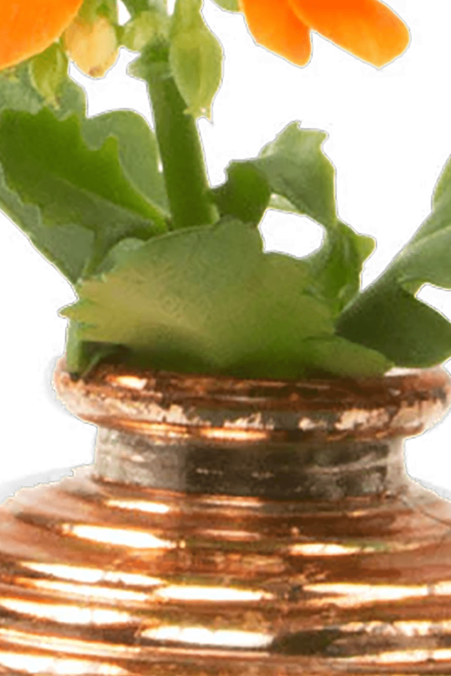 Smasak Glass Bud Vase - Chive Ceramics Studio - Vases - Chive US