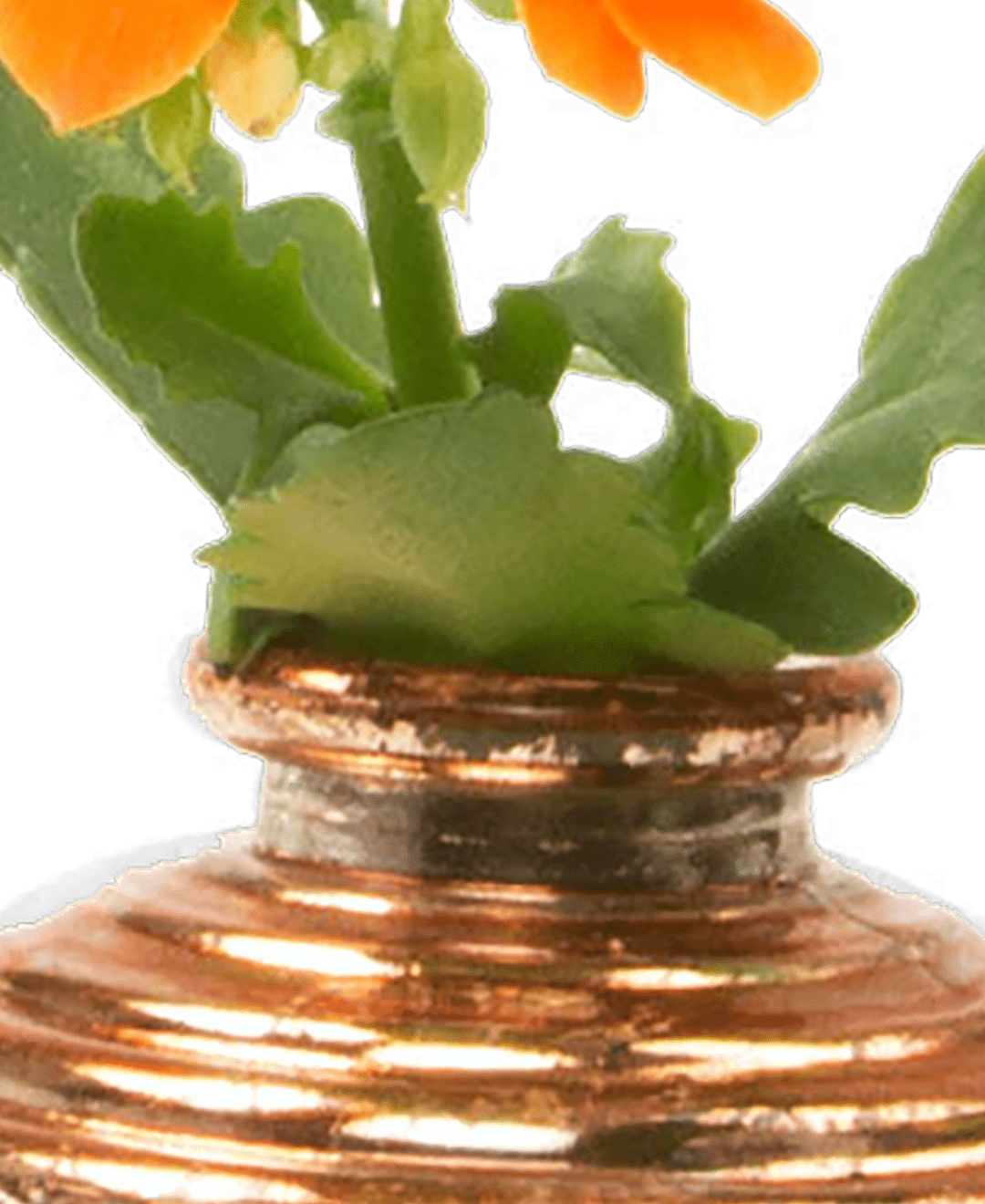 Smasak Glass Bud Vase - Chive Ceramics Studio - Vases - Chive US