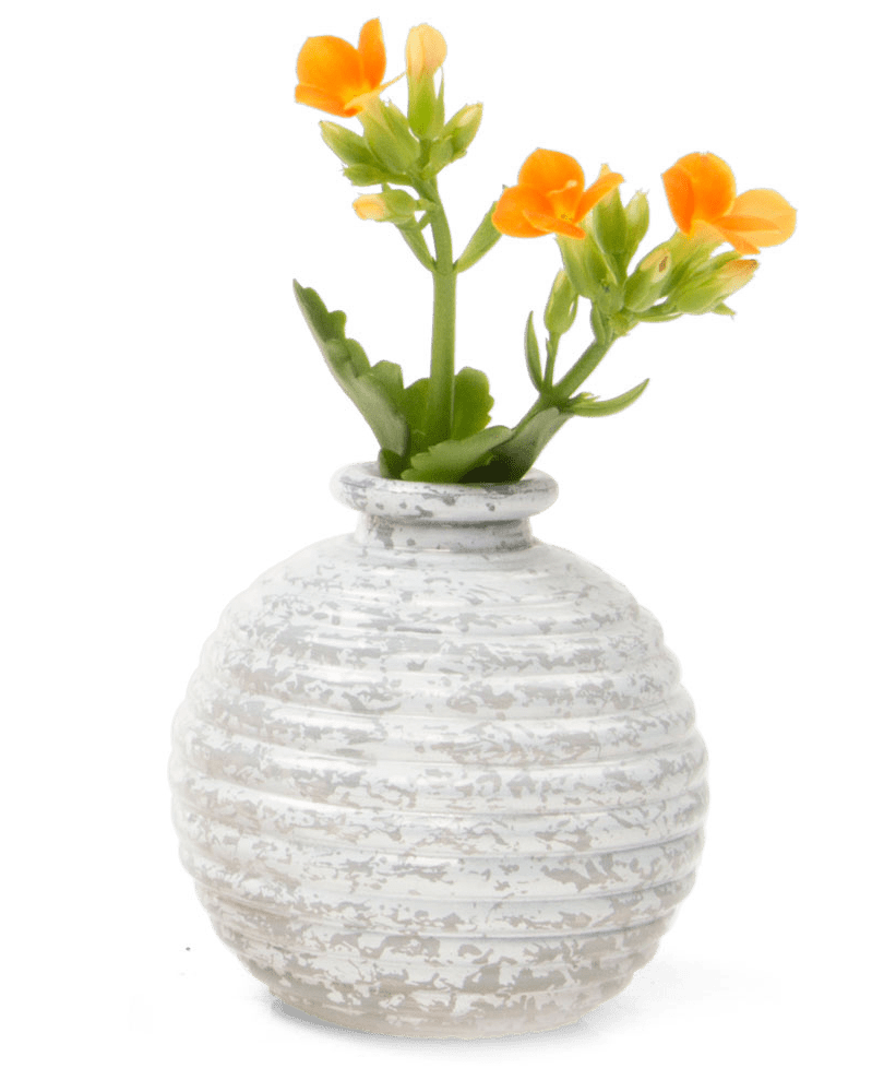 Smasak Glass Bud Vase - Chive Ceramics Studio - Vases - Chive US