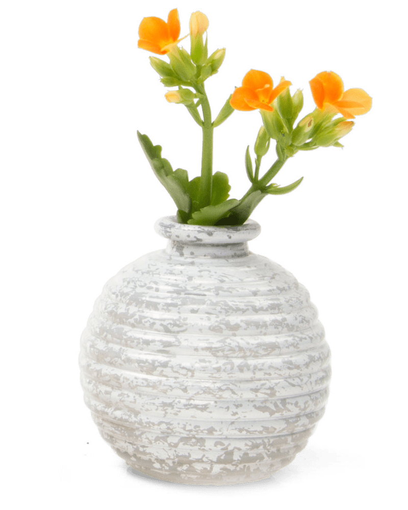 Smasak Glass Bud Vase - Chive Ceramics Studio - Vases - Chive US