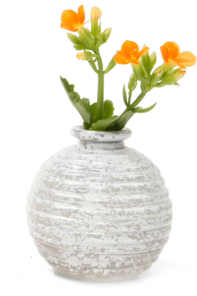Smasak Glass Bud Vase - Chive Ceramics Studio - Vases - Chive US