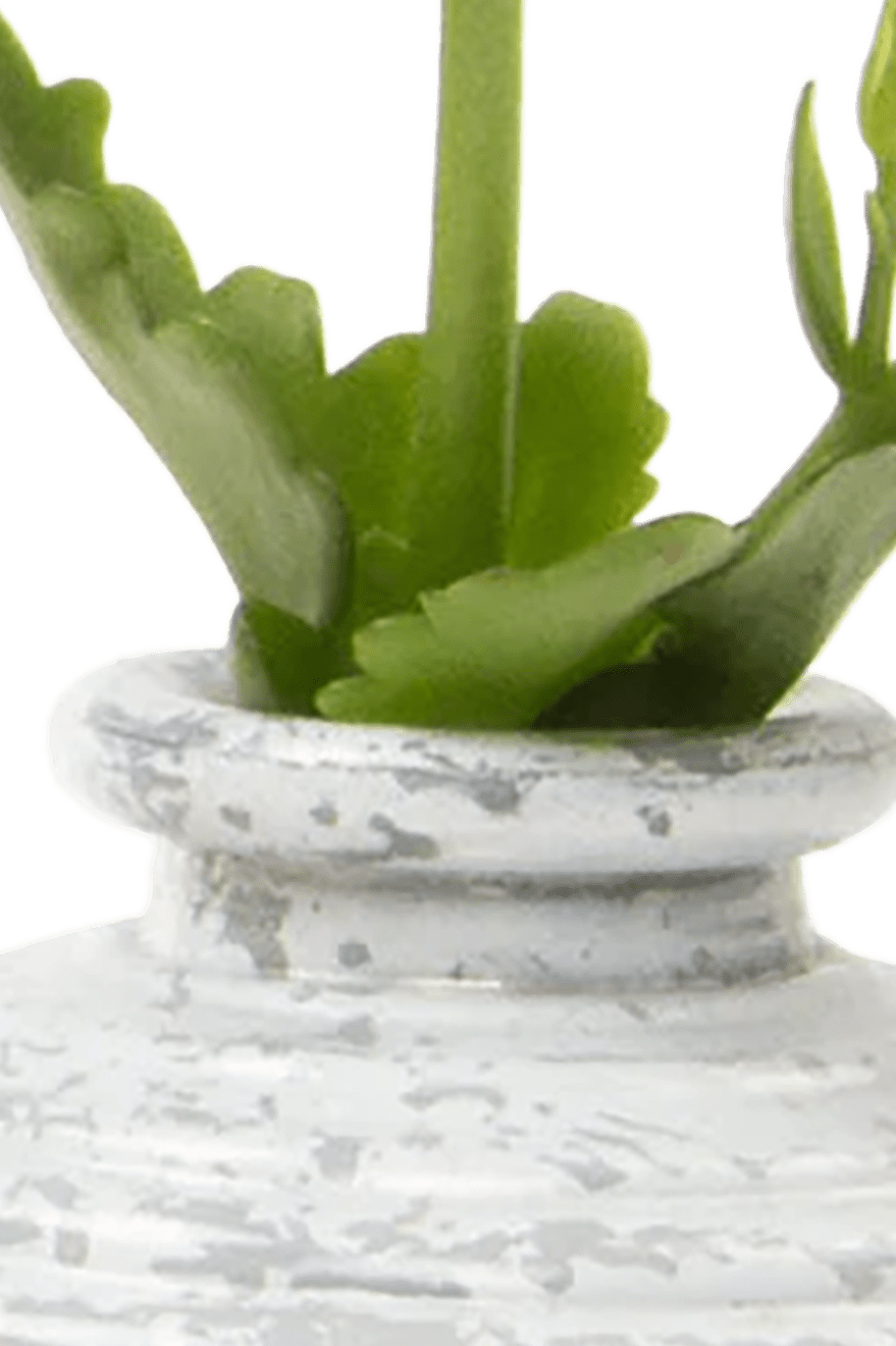 Smasak Glass Bud Vase - Chive Ceramics Studio - Vases - Chive US