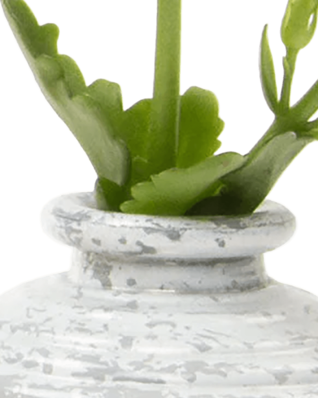 Smasak Glass Bud Vase - Chive Ceramics Studio - Vases - Chive US