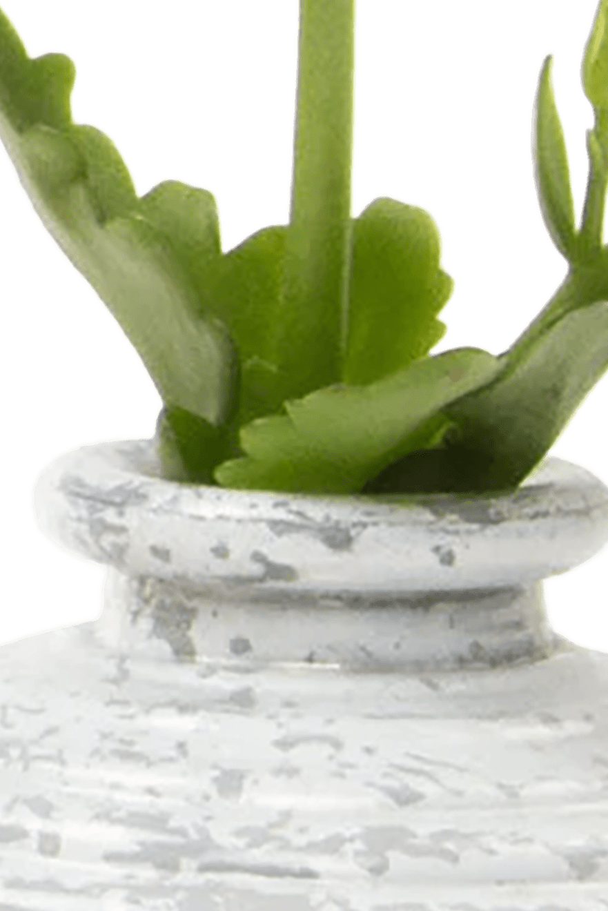 Smasak Glass Bud Vase - Chive Ceramics Studio - Vases - Chive US