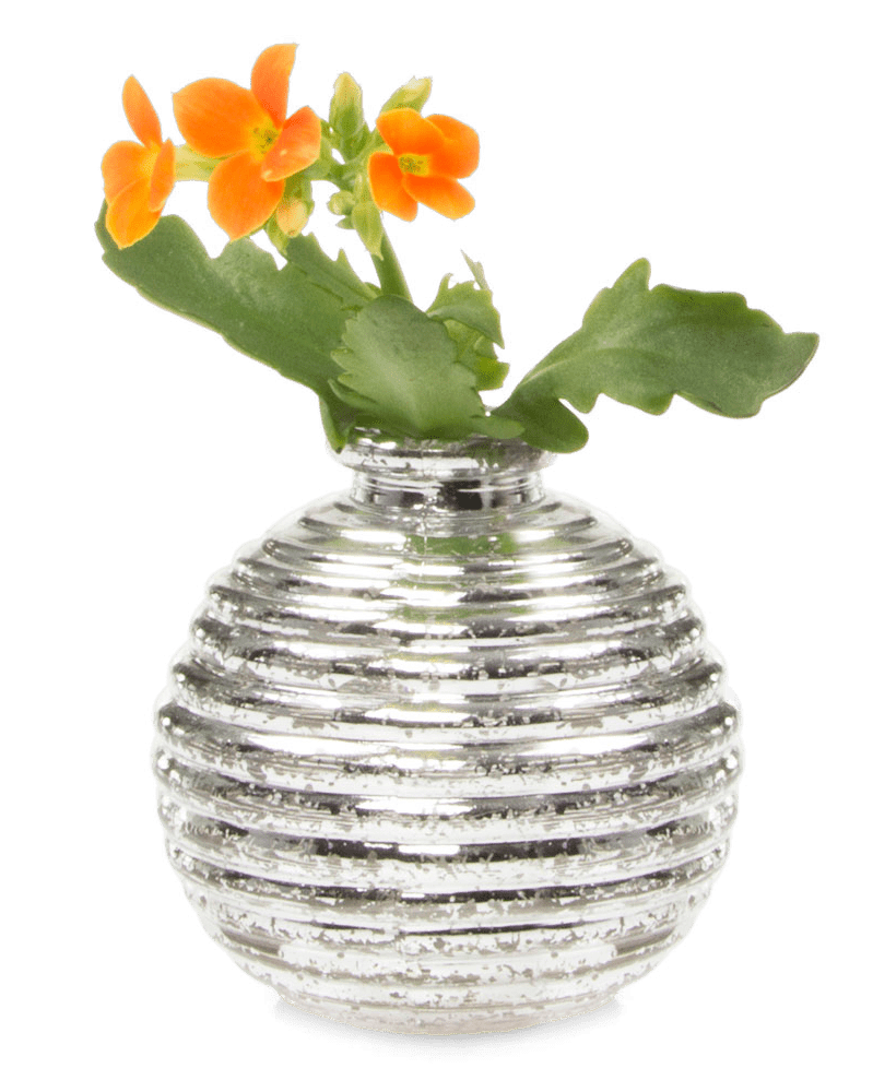 Smasak Glass Bud Vase - Chive Ceramics Studio - Vases - Chive US