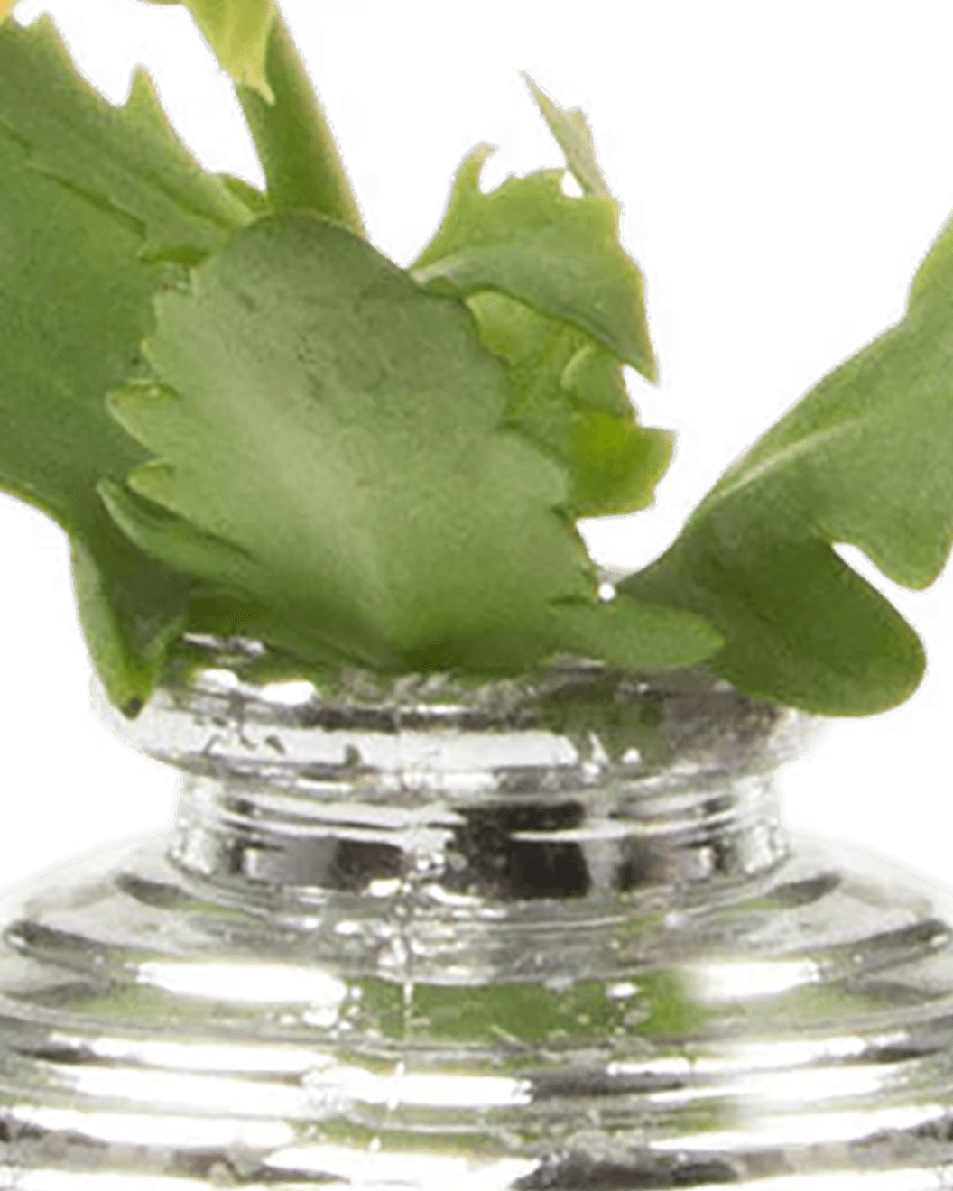 Smasak Glass Bud Vase - Chive Ceramics Studio - Vases - Chive US