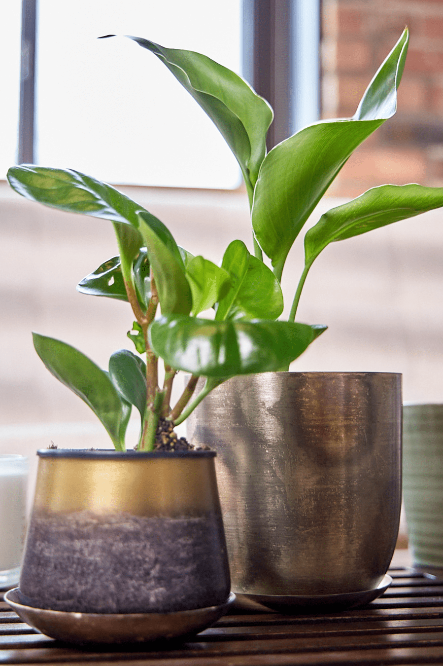 Joe Metal Pot With Drainage Hole - Chive Ceramics Studio - Pots - Chive US