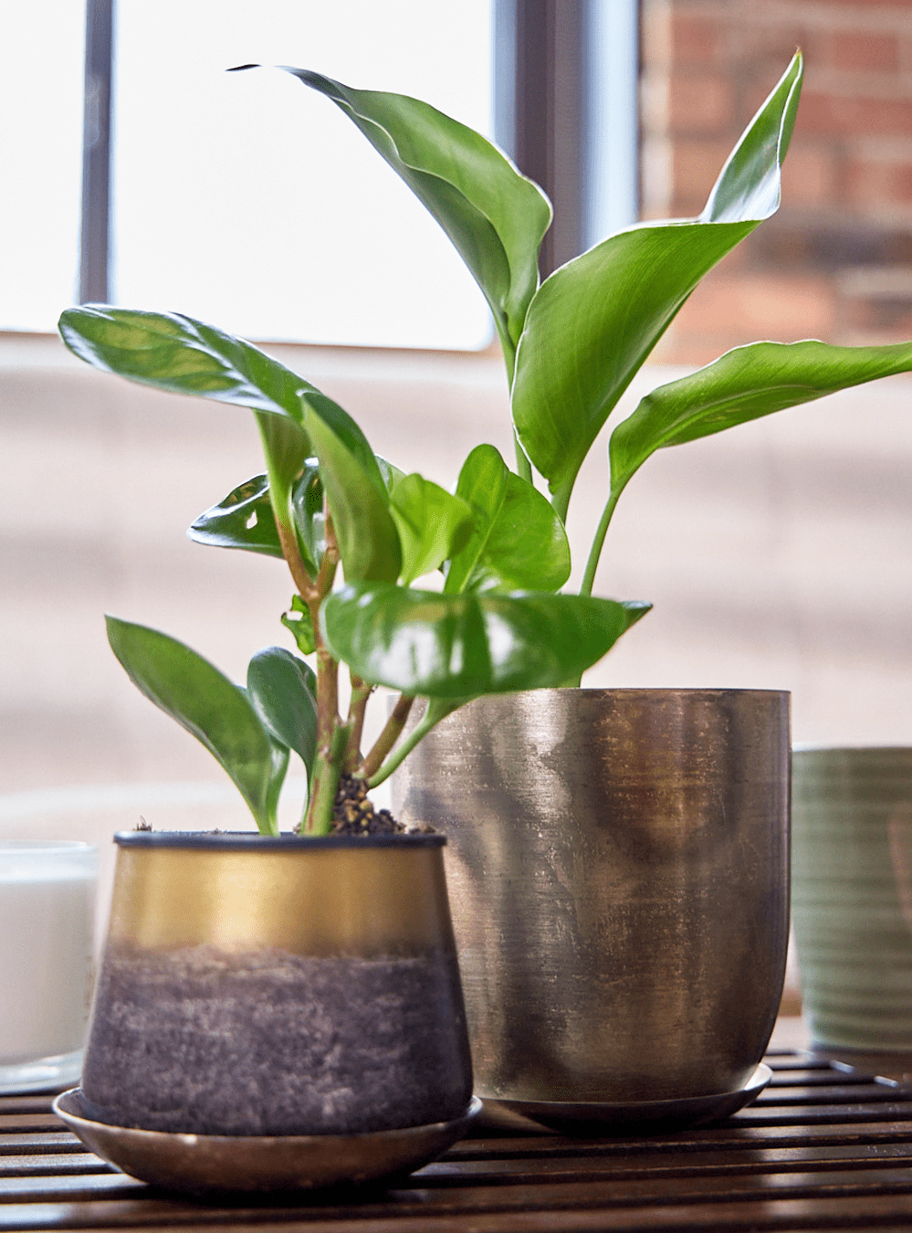 Joe Metal Pot With Drainage Hole - Chive Ceramics Studio - Pots - Chive US