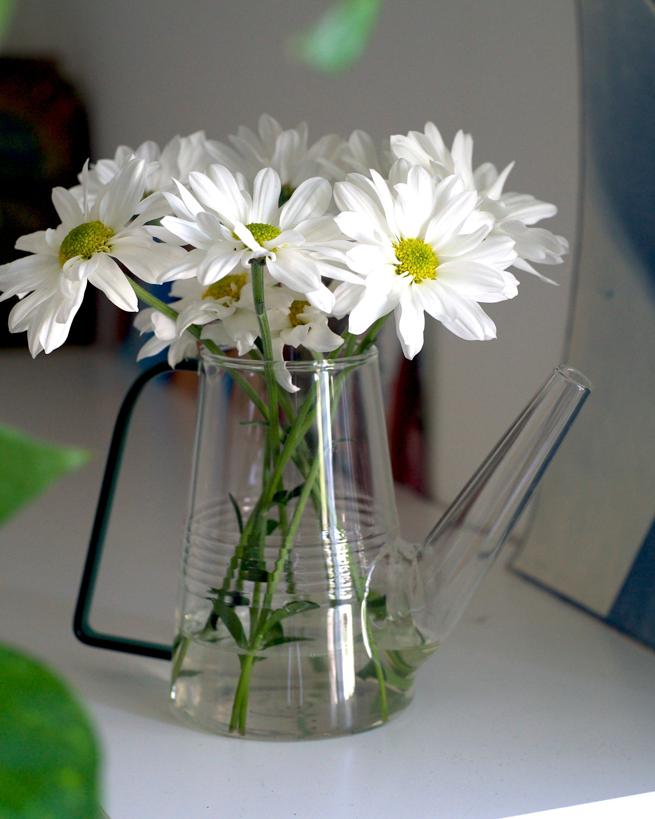 Sprocket Glass Modern Watering Container - Chive Ceramics Studio - Tools & Accessories - Chive Ceramics Studio