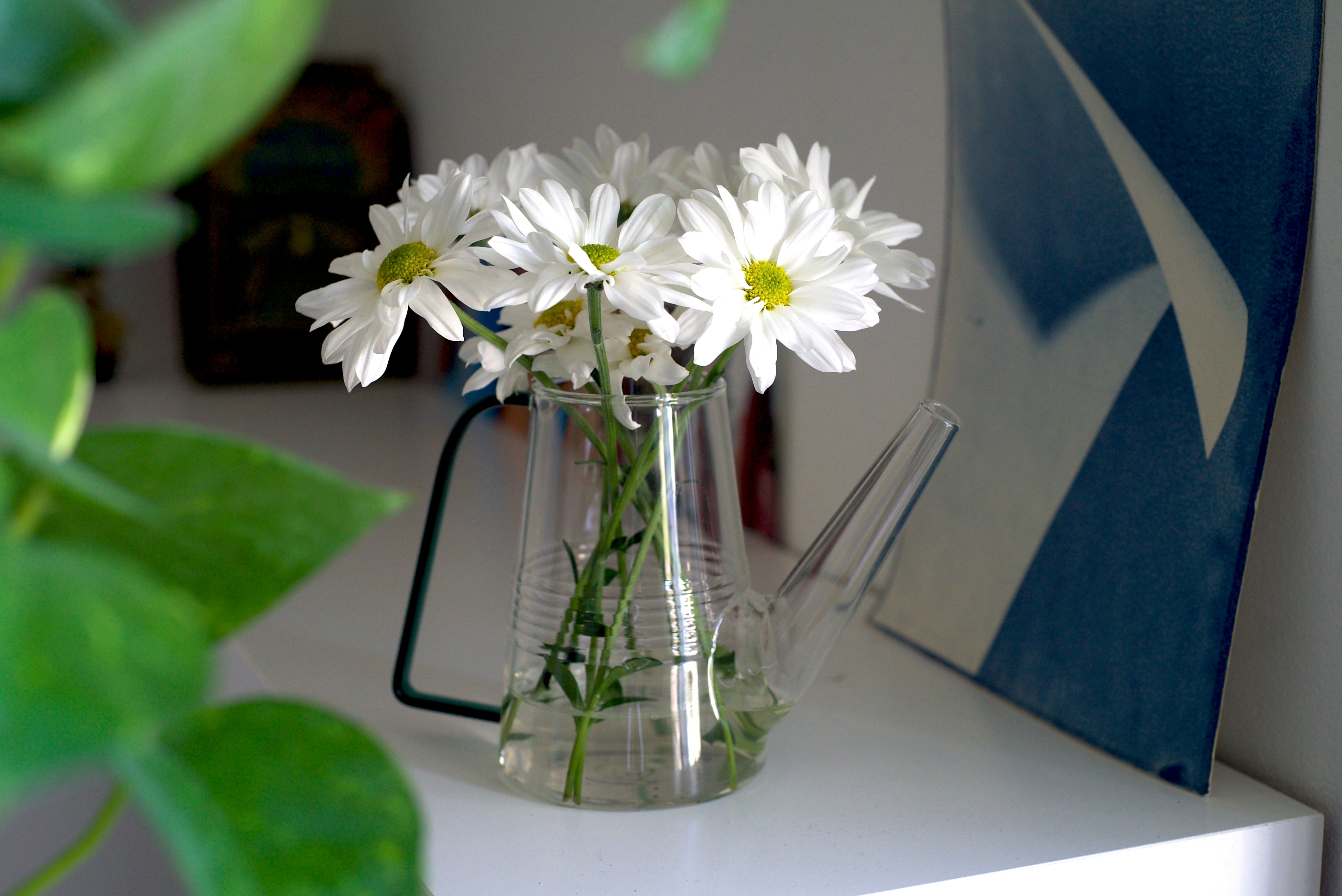 Sprocket Glass Modern Watering Container - Chive Ceramics Studio - Tools & Accessories - Chive Ceramics Studio