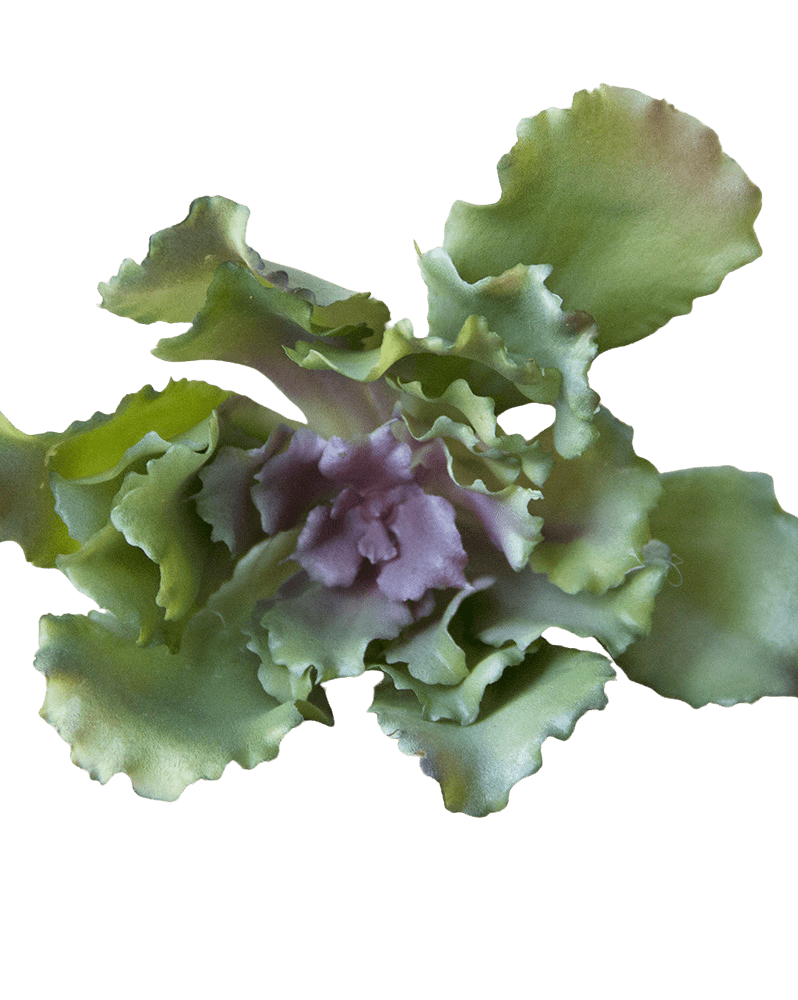 Succulents Fake Faux Lifelike Decorative Things - Chive Ceramics Studio - Tools & Accessories - Chive US