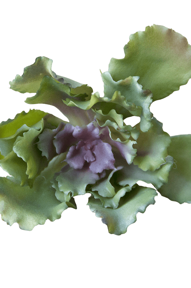 Succulents Fake Faux Lifelike Decorative Things - Chive Ceramics Studio - Tools & Accessories - Chive US