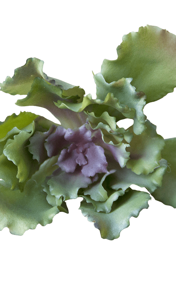 Succulents Fake Faux Lifelike Decorative Things - Chive Ceramics Studio - Tools & Accessories - Chive US