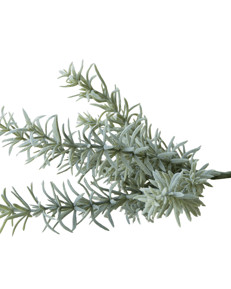 Succulents Fake Faux Lifelike Decorative Things - Chive Ceramics Studio - Tools & Accessories - Chive US