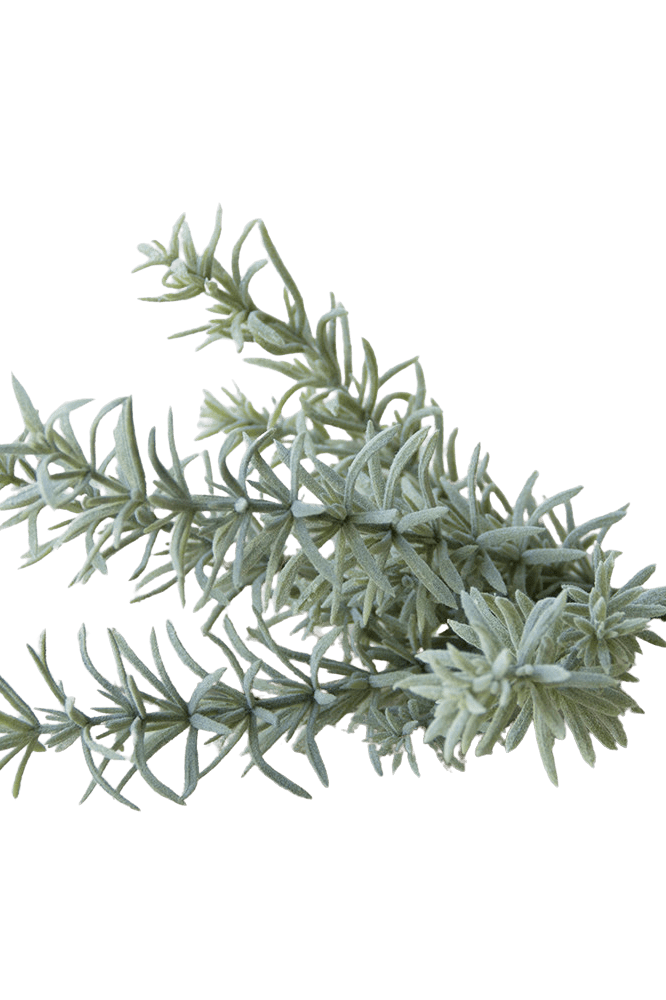 Succulents Fake Faux Lifelike Decorative Things - Chive Ceramics Studio - Tools & Accessories - Chive US