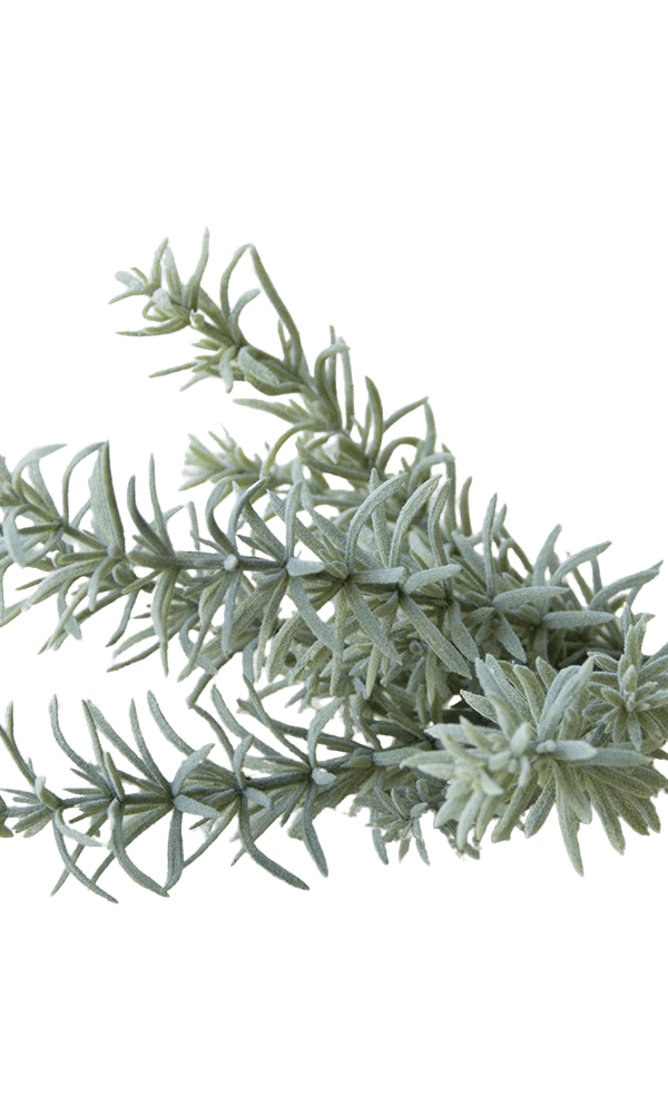 Succulents Fake Faux Lifelike Decorative Things - Chive Ceramics Studio - Tools & Accessories - Chive US