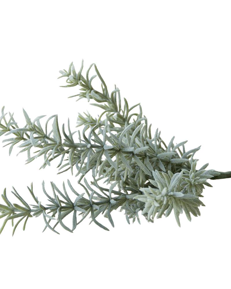 Succulents Fake Faux Lifelike Decorative Things - Chive Ceramics Studio - Tools & Accessories - Chive US