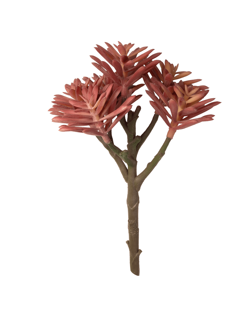 Premium Artificial Succulents - Lifelike Botanical Decor - Chive Ceramics Studio - Chive US Wholesale