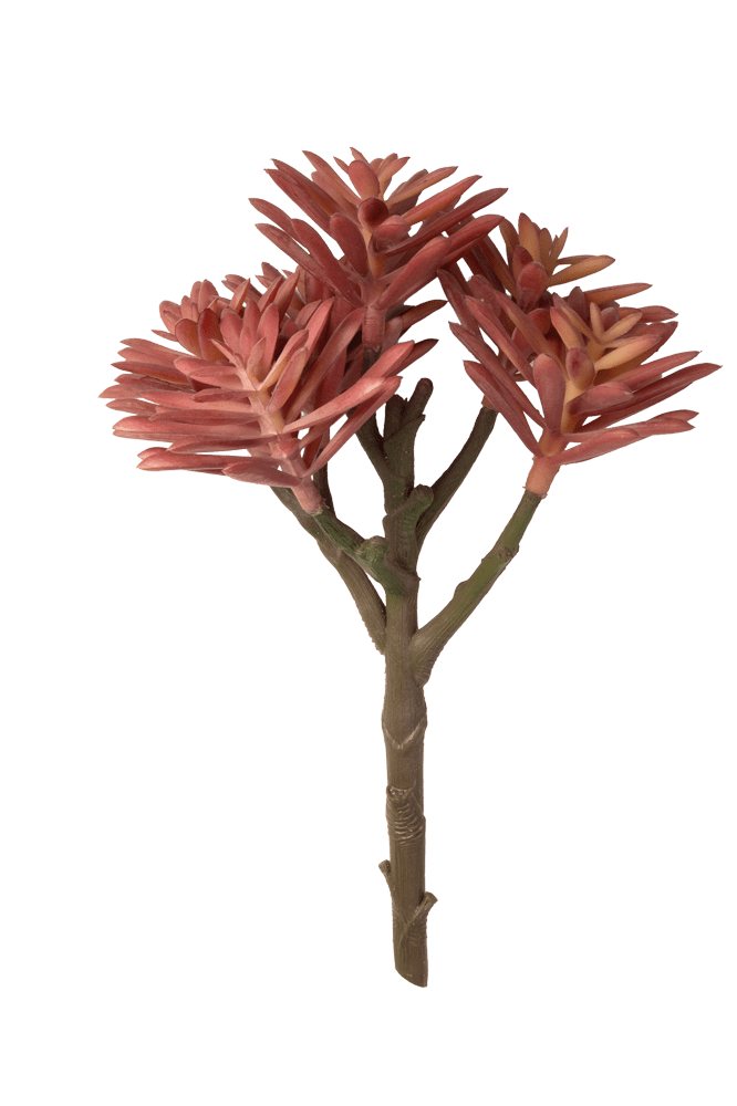 Premium Artificial Succulents - Lifelike Botanical Decor - Chive Ceramics Studio - Chive US Wholesale