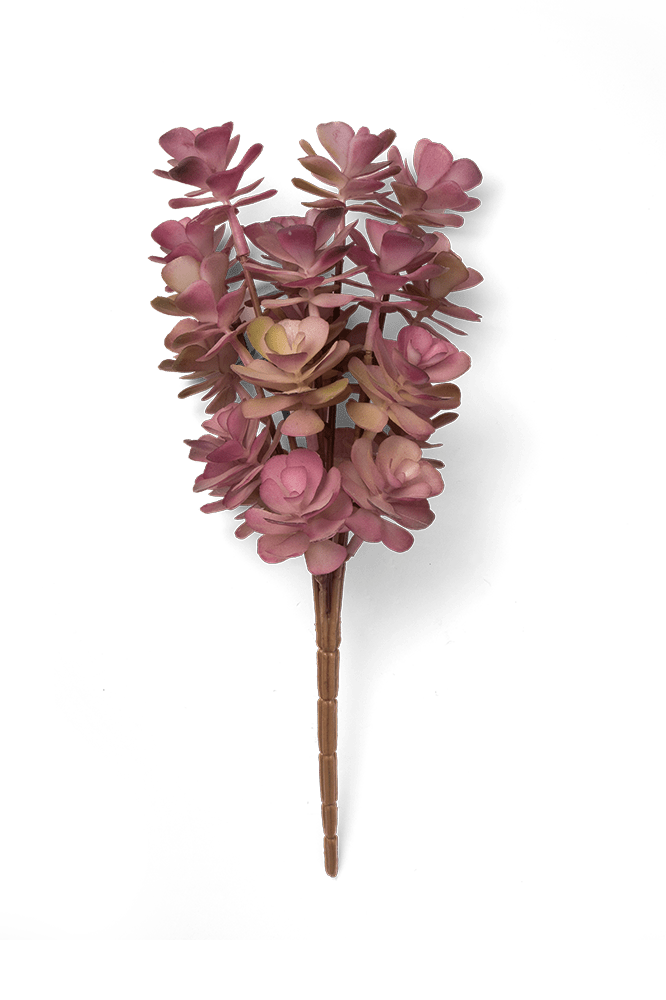 Premium Artificial Succulents - Lifelike Botanical Decor - Chive Ceramics Studio - Chive US Wholesale