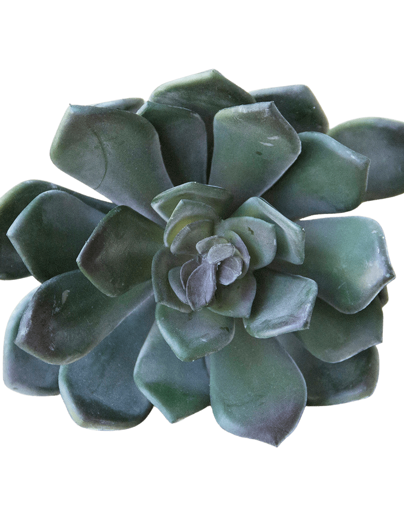 Succulents Fake Faux Lifelike Decorative Things - Chive Ceramics Studio - Tools & Accessories - Chive US