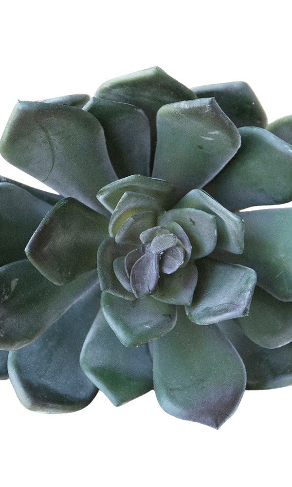 Succulents Fake Faux Lifelike Decorative Things - Chive Ceramics Studio - Tools & Accessories - Chive US
