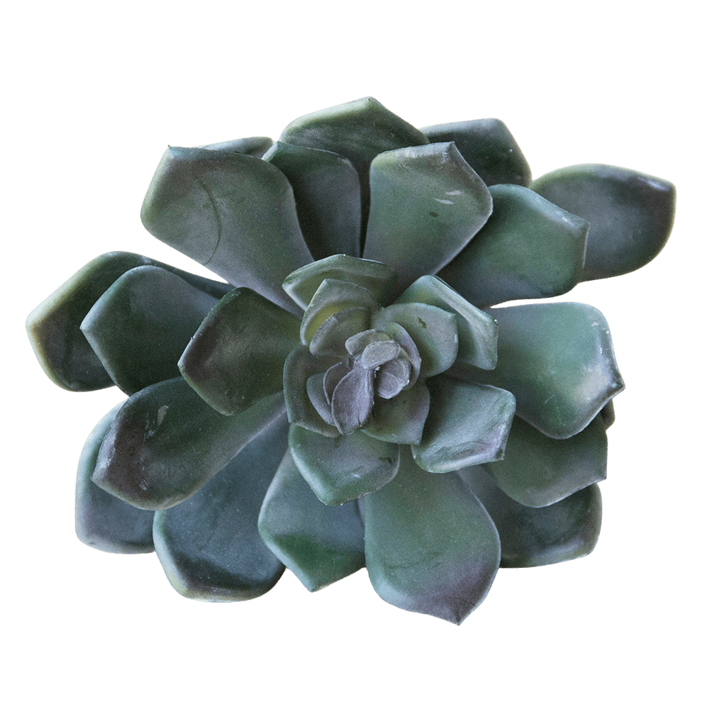 Succulents Fake Faux Lifelike Decorative Things - Chive Ceramics Studio - Tools & Accessories - Chive US