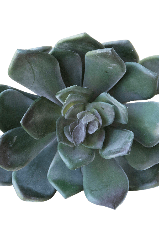 Premium Artificial Succulents - Lifelike Botanical Decor - Chive Ceramics Studio - Chive US Wholesale