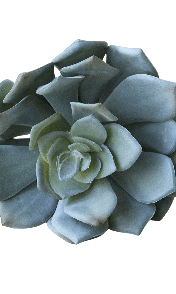 Succulents Fake Faux Lifelike Decorative Things - Chive Ceramics Studio - Tools & Accessories - Chive US