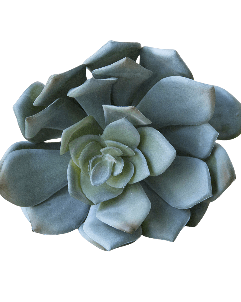 Premium Artificial Succulents - Lifelike Botanical Decor - Chive Ceramics Studio - Chive US Wholesale