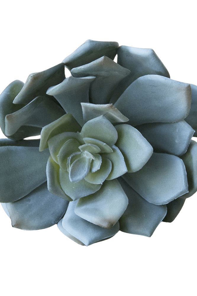 Premium Artificial Succulents - Lifelike Botanical Decor - Chive Ceramics Studio - Chive US Wholesale