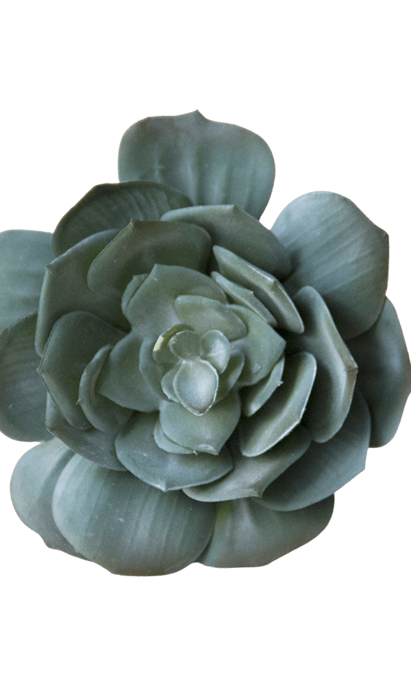 Succulents Fake Faux Lifelike Decorative Things - Chive Ceramics Studio - Tools & Accessories - Chive US