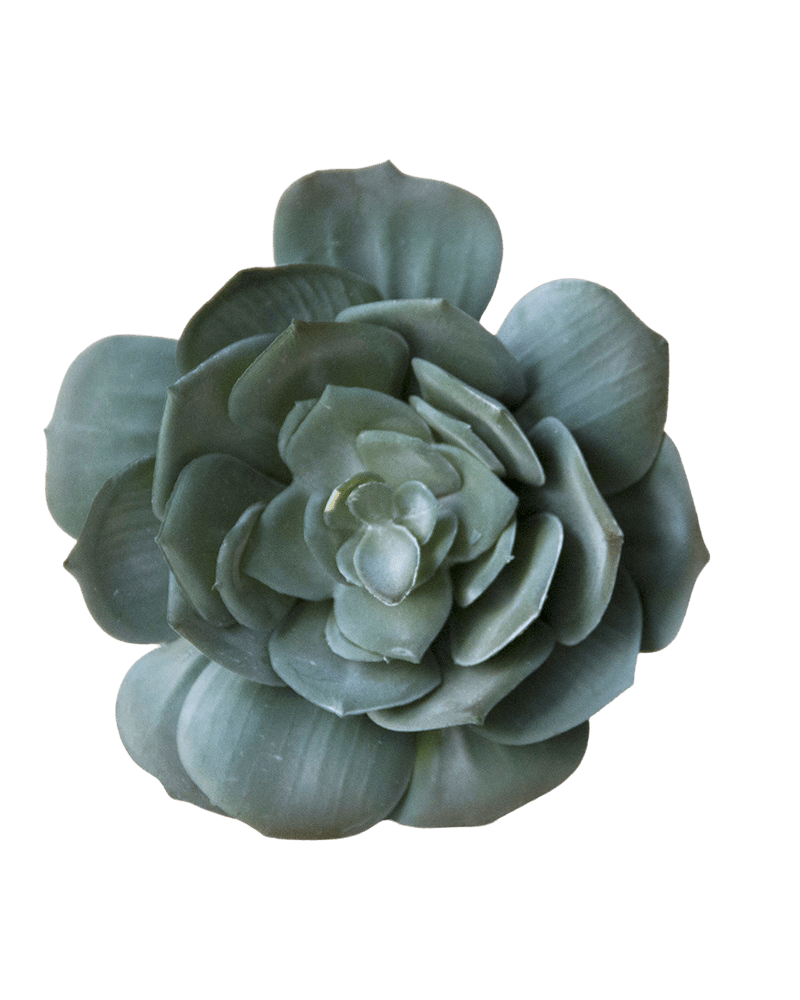 Succulents Fake Faux Lifelike Decorative Things - Chive Ceramics Studio - Tools & Accessories - Chive US