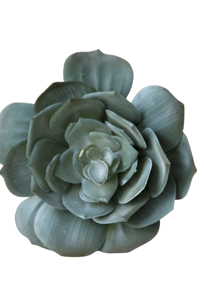 Premium Artificial Succulents - Lifelike Botanical Decor - Chive Ceramics Studio - Chive US Wholesale