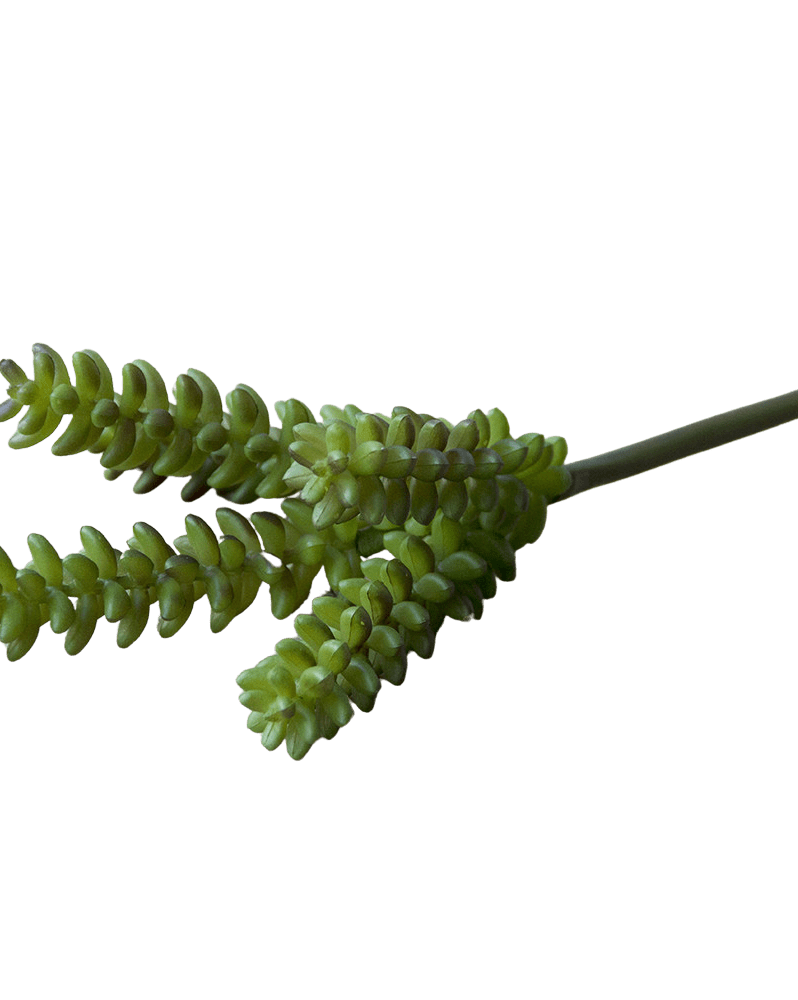 Succulents Fake Faux Lifelike Decorative Things - Chive Ceramics Studio - Tools & Accessories - Chive US
