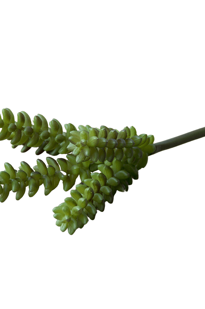 Succulents Fake Faux Lifelike Decorative Things - Chive Ceramics Studio - Tools & Accessories - Chive US